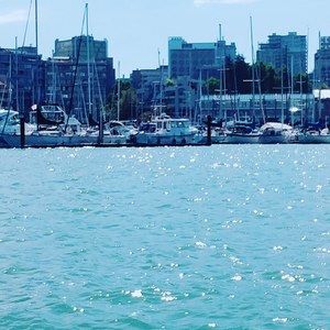 Meet your Posher, Bob